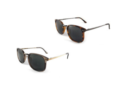 East Village Men's EV14 Brown Sunglasses - Shell & Gold