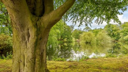 Woodhall Country Park: Camping Pod Stay For 2 People - 2 Nights! | Wowcher