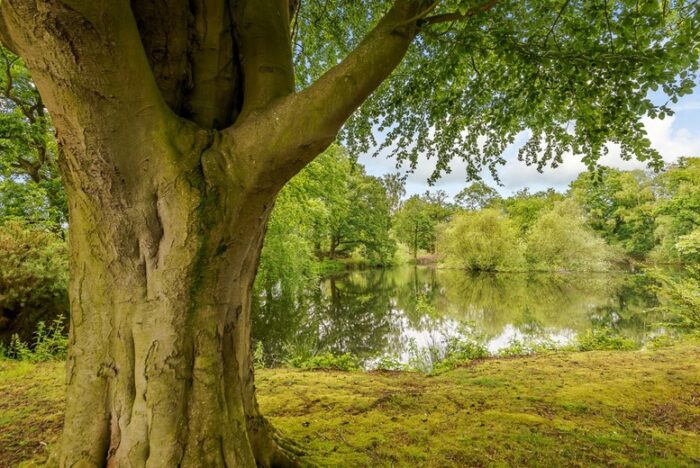 Woodhall Country Park: Camping Pod Stay For 2 People - 2 Nights! | Wowcher