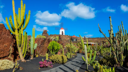 4* All-Inclusive Lanzarote Beach Holiday: Award Winning Hotel & Flights | Wowcher