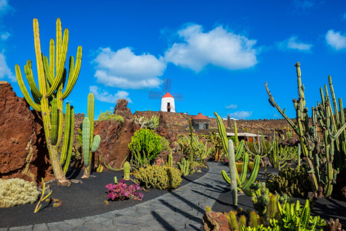 4* All-Inclusive Lanzarote Beach Holiday: Award Winning Hotel & Flights | Wowcher