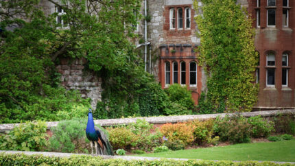 Spa Day With Mud Rasul, Prosecco, Chef'S Cake & Spa Access At Ruthin Castle, North Wales | Wowcher