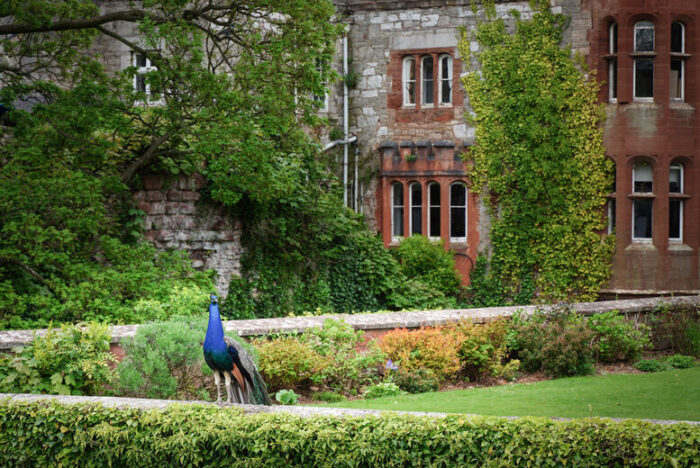 Spa Day With Mud Rasul, Prosecco, Chef'S Cake & Spa Access At Ruthin Castle, North Wales | Wowcher