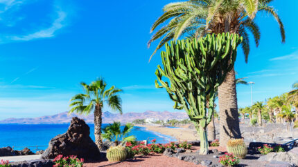 4* All Inclusive Lanzarote Beach Holiday & Return Flights! | Wowcher