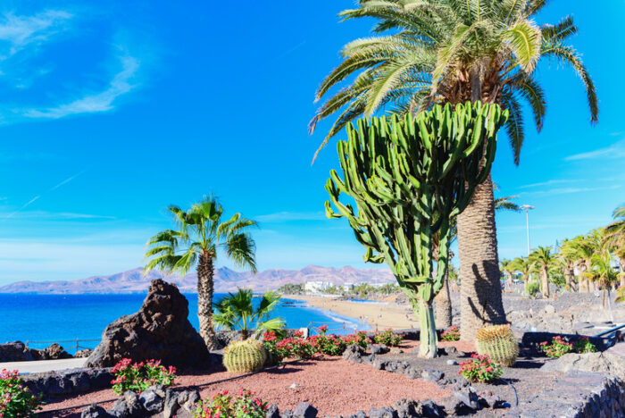 4* All Inclusive Lanzarote Beach Holiday & Return Flights! | Wowcher
