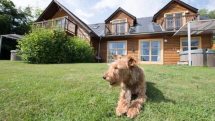 5* Loch Lomond Waterfront Lodge with Private Hot Tub & Prosecco for Up to Six - 2-4 Night Stays - Balmaha | Wowcher
