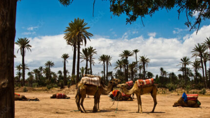 4* Marrakech Holiday: All-Inclusive Hotel Stay with Return Flights Included | Wowcher
